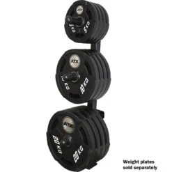 Wall Mounted Weight Rack